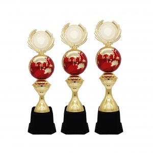 Acrylic Trophy Acrylic Trophy (Globe) AC4215