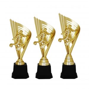 Acrylic Trophy Football Trophy AC4220 Acrylic Trophy Football Trophy AC4220