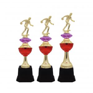 Acrylic Trophy Bowling Trophy AC4233 Acrylic Trophy Bowling Trophy AC4233