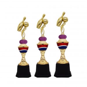 Acrylic Trophy Bowling Trophy AC4236 Acrylic Trophy Bowling Trophy AC4236