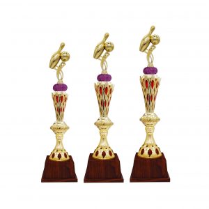 Acrylic Trophy Bowling Trophy AC4237 Acrylic Trophy Bowling Trophy AC4237
