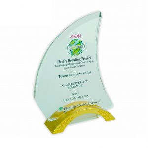 Crystal Plaques Crystal Plaque CR3002