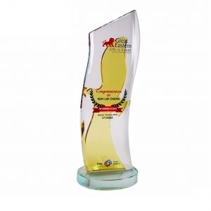 Crystal Plaques Crystal Plaque CR3070