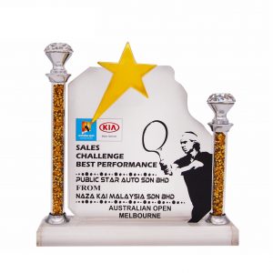 Crystal Plaques Crystal Plaque CR3080
