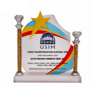 Crystal Plaques Crystal Plaque CR3081