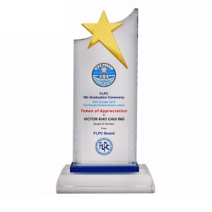Crystal Plaques Crystal Plaque CR3085