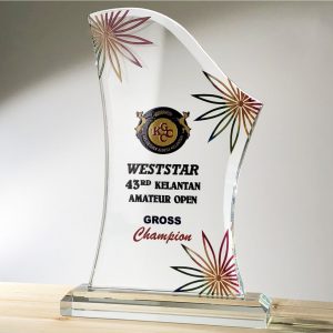 Crystal Plaques Crystal Plaque CR3092
