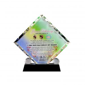 Crystal Plaques Square Crystal Glass Award CR8022