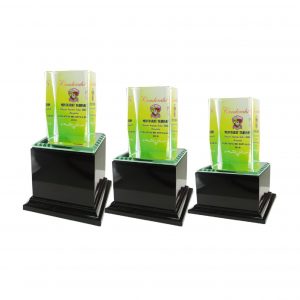 Crystal Plaques Crystal Glass Award CR8043