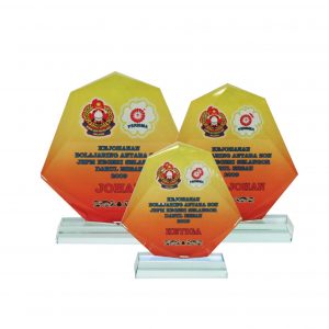 Crystal Plaques Crystal Glass Award CR8095