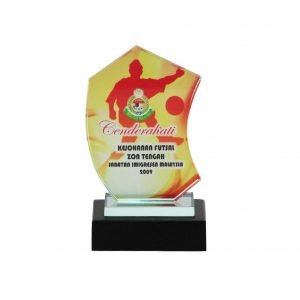 Crystal Plaques Crystal Glass Award CR8096