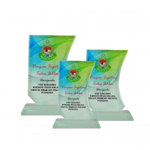 Crystal Plaques Crystal Glass Award CR8173