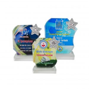 Crystal Plaques Crystal Glass Star Award CR8197