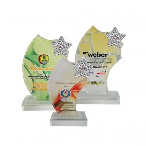 Crystal Plaques Crystal Glass Star Award CR8198