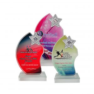 Crystal Plaques Crystal Glass Star Award CR8202