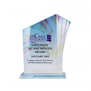 Crystal Plaques Crystal Glass Award CR8221