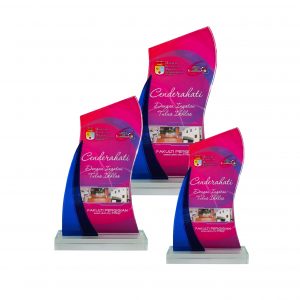 Crystal Plaques Crystal Glass Award CR8249
