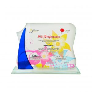 Crystal Plaques Crystal Glass Award CR8254