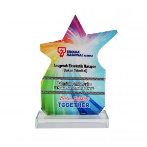 Crystal Plaques Crystal Glass Star Award CR8287