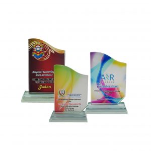 Crystal Plaques Crystal Glass Award CR8291