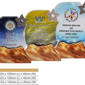 Crystal Plaques Crystal Award CR8315