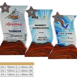 Crystal Plaques Crystal Award CR8316