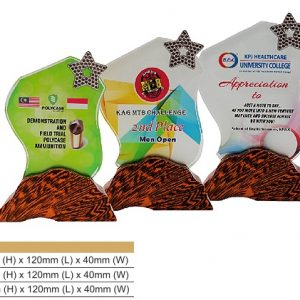 Crystal Plaques Crystal Award CR8317