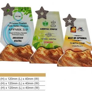 Crystal Plaques Crystal Award CR8318