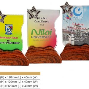 Crystal Plaques Crystal Award CR8319
