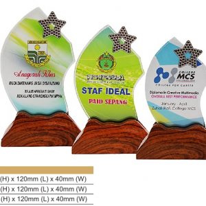 Crystal Plaques Crystal Award CR8320