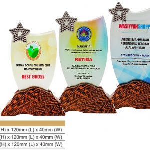 Crystal Plaques Star Crystal Award CR8321
