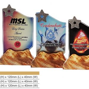 Crystal Plaques Star Crystal Award CR8322