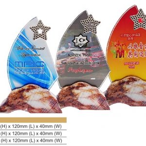 Crystal Plaques Star Crystal Award CR8323