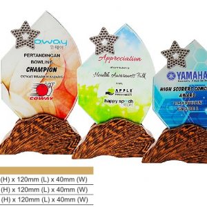 Crystal Plaques Star Crystal Award CR8324