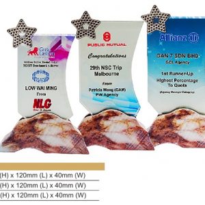 Crystal Plaques Star Crystal Award CR8325
