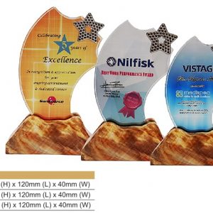 Crystal Plaques Star Crystal Award CR8326