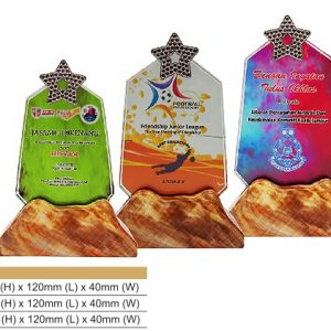 Crystal Plaques Star Crystal Award CR8327