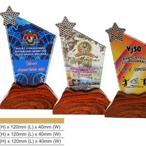 Crystal Plaques Star Crystal Award CR8328