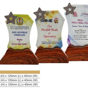 Crystal Plaques Star Crystal Award CR8329