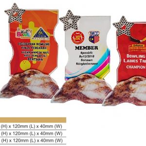 Crystal Plaques Color Crystal Award CR8330 Crystal Plaques Color Crystal Award CR8330