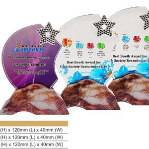 Crystal Plaques Star Crystal Award CR8331