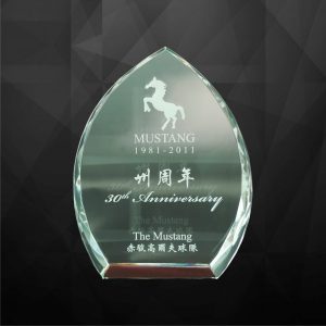 Crystal Plaques Crystal Plaque CR9002