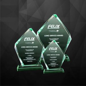 Crystal Plaques Iceberg Crystal Plaque CR9020