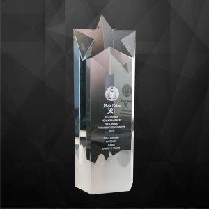 Crystal Plaques Crystal Star Award CR9085