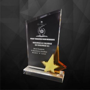 Crystal Plaques Crystal Star Award CR9116