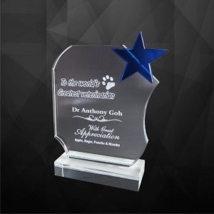 Crystal Plaques Crystal Star Award CR9129