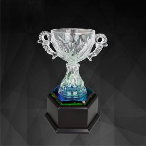 Crystal Trophy Crystal Cup Trophy CR9133 Crystal Trophy Crystal Cup Trophy CR9133