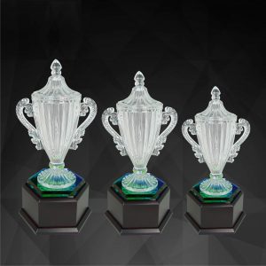 Crystal Trophy Crystal Trophy CR9135