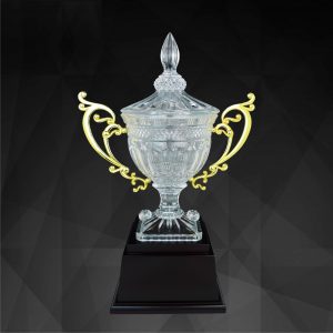 Crystal Trophy Crystal Trophy CR9142 Crystal Trophy Crystal Trophy CR9142