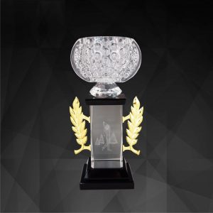 Crystal Trophy Crystal Cup Trophy CR9143 Crystal Trophy Crystal Cup Trophy CR9143